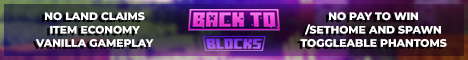 Back To Blocks banner